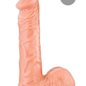 so1895 1